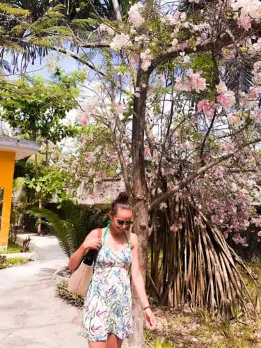 tanzania travel Zanzibar beaches