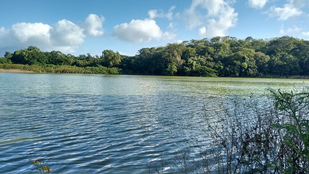 Isls Ometepe, Charco Verde