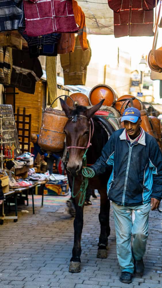 streets of Fez, Morocco