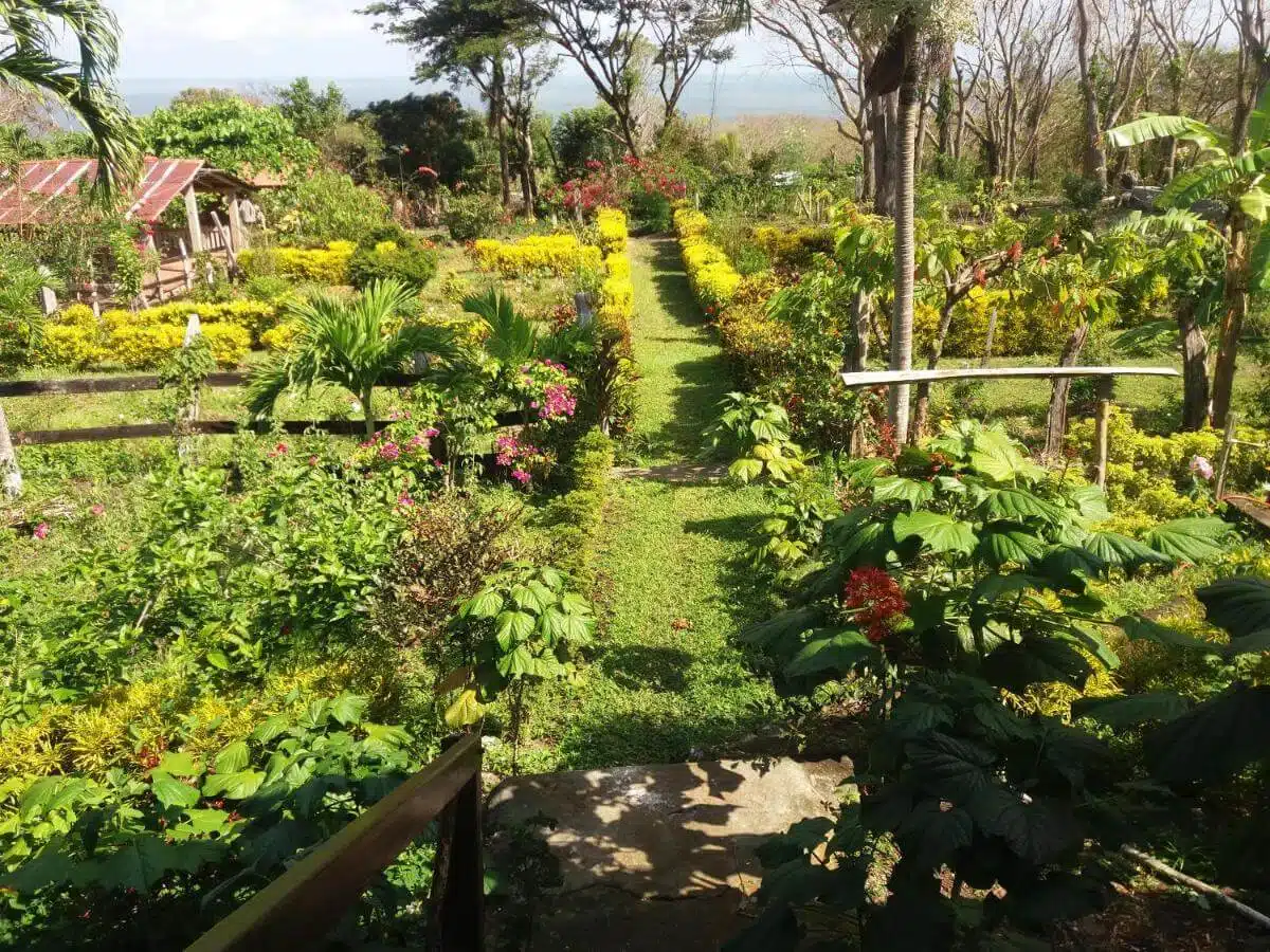Finca Magdalena
