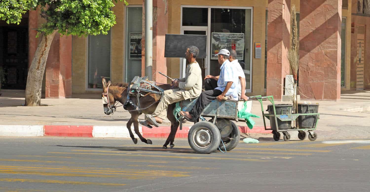 Marrakesh 63