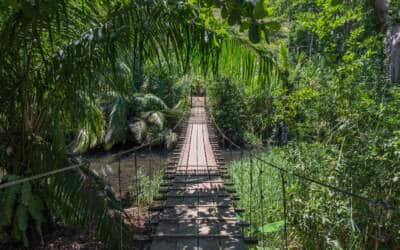 Costa Rica fuera de lo común: Península de Osa en Costa Rica