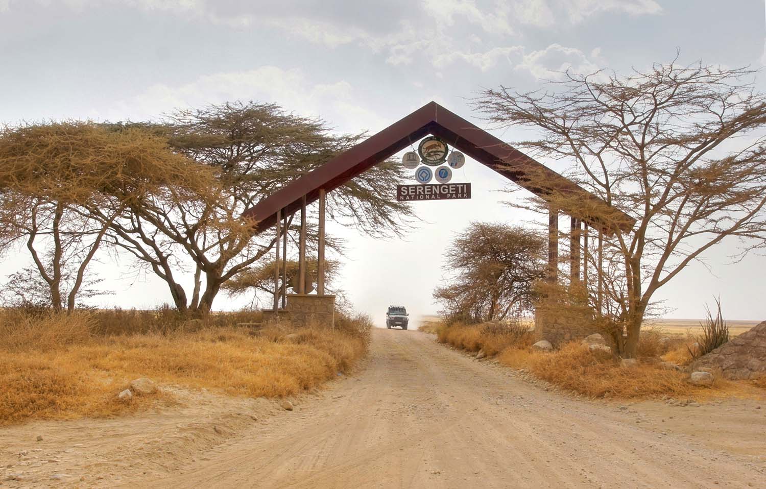 serengeti 3