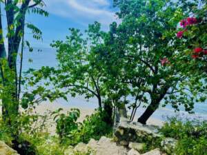 Beach in Belmont, Jamaica