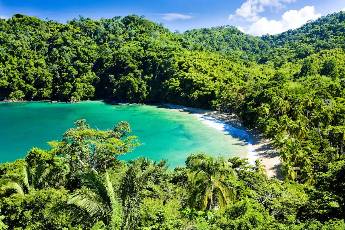 Tobago Beach: English Man's Cove