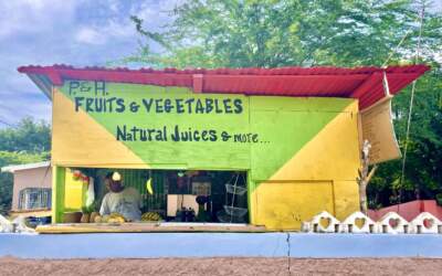 Treasure Beach | Tranquil Vibes