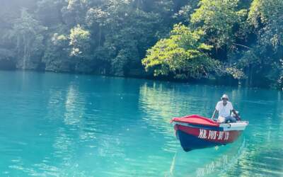 Caribbean 3 Portland: lush vegetation, chill vibes and beautiful scenery