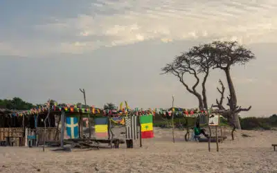 Casamance |  Lush Mangroves, Diola people & traditional villages