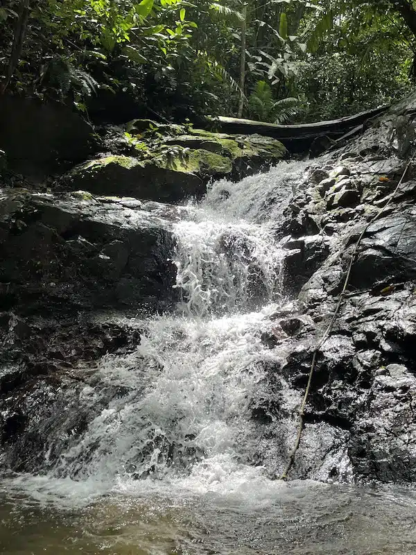 Capurgana 7