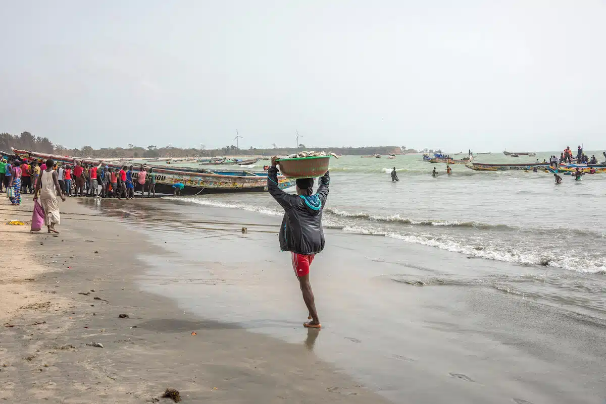 Gambia 1