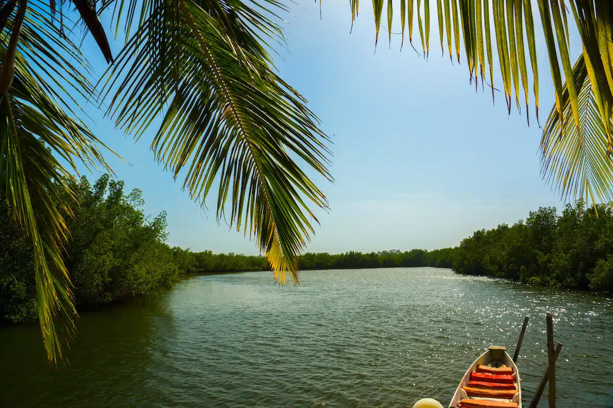 Gambia 2
