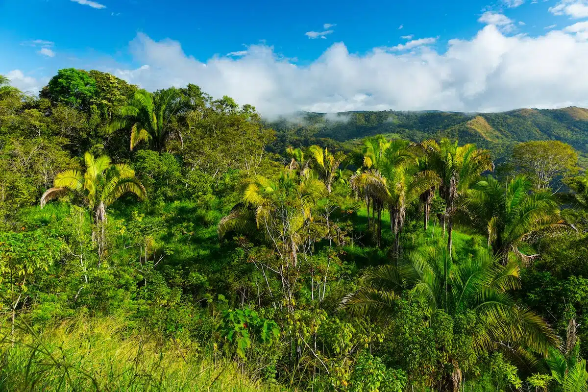 Caribbean side of Costa Rica4