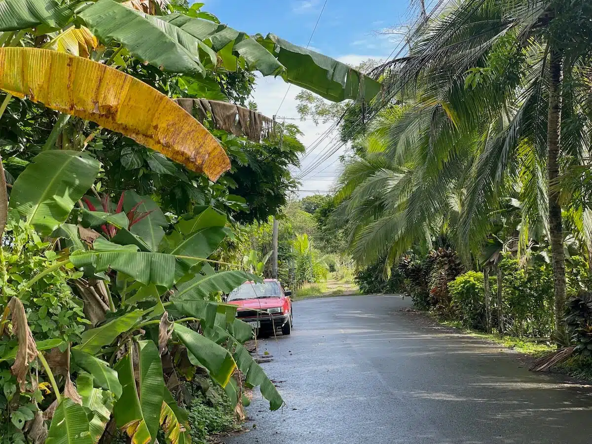 Puerto Viejo4