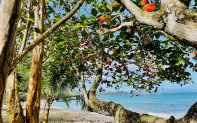 Costa Rica Itinerary | Off the beaten-path without the masses