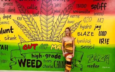 Marijuana Dispensaries in Montego Bay | Where to get your weed