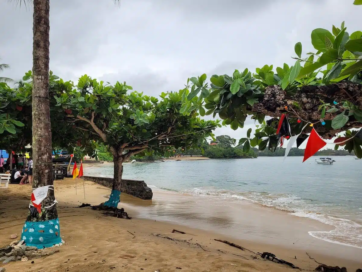 Mt. Irvine in Tobago