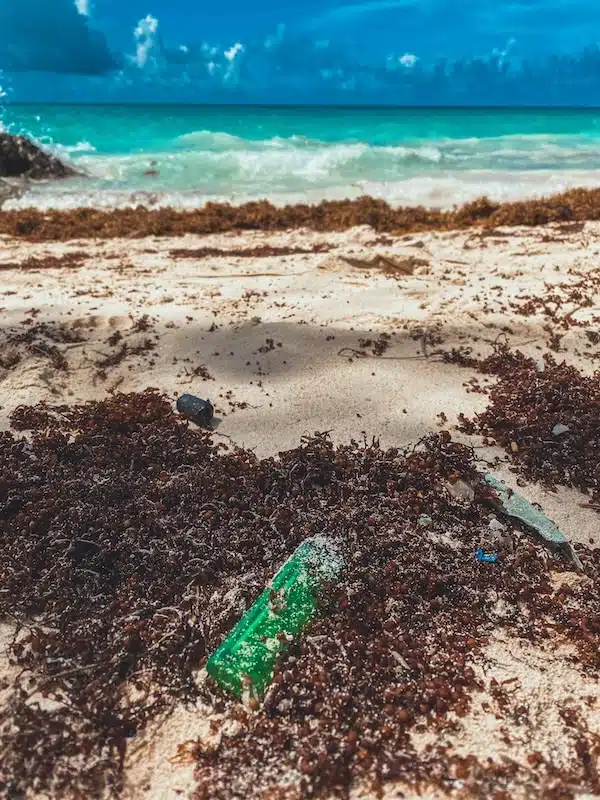 ocean plastic