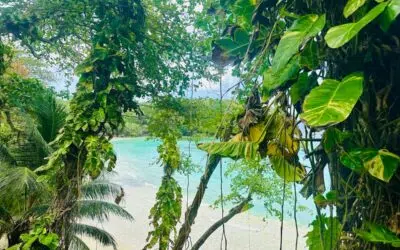 Chasing beaches in Portland, Jamaica