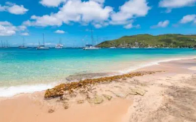 Things to do in Bequia