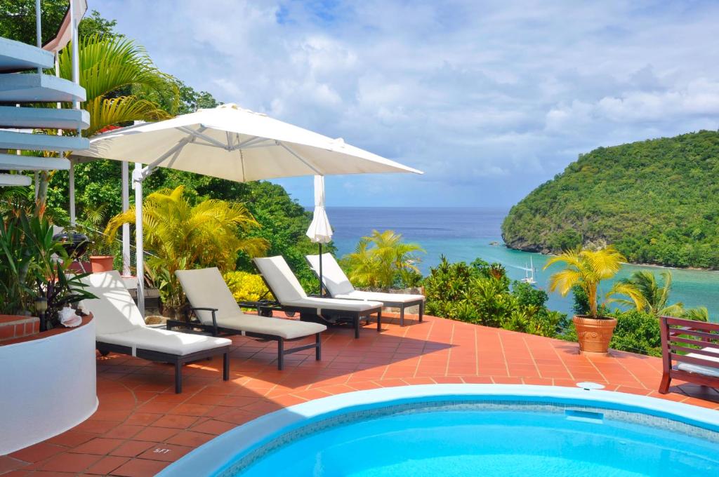 marigot palms